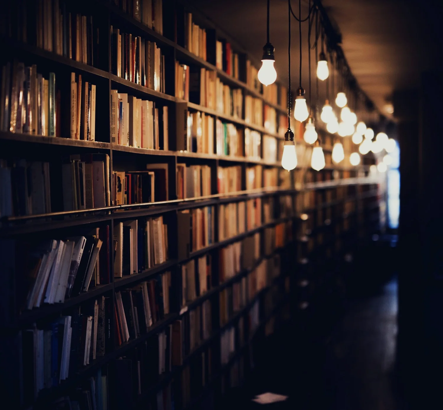 Warmly lit bookshelves in a library